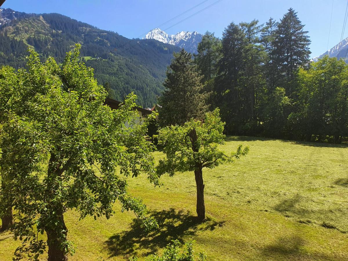 Landhaus Dornau Apartments Mayrhofen Exterior foto
